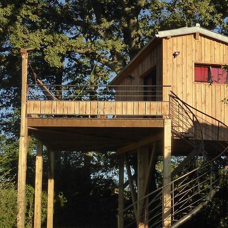La Cabane Perchee Du Faucon Frechou-Frechet Eksteriør bilde