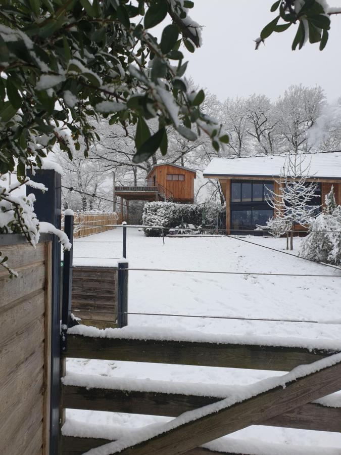 La Cabane Perchee Du Faucon Frechou-Frechet Eksteriør bilde